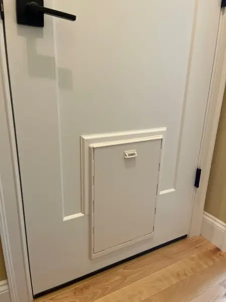 Pet Door Installation in Sanford — Door Installation and Repair